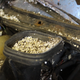 No that is not a bucket of popcorn, it’s a styrofoam and poo filled intake pipe.